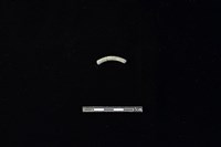 陶環藏品圖，第1張